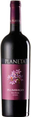 Plumbago Nero d´Avola DOC 2022 Bio Plumbago Nero d´Avola DOC 2022 Bio