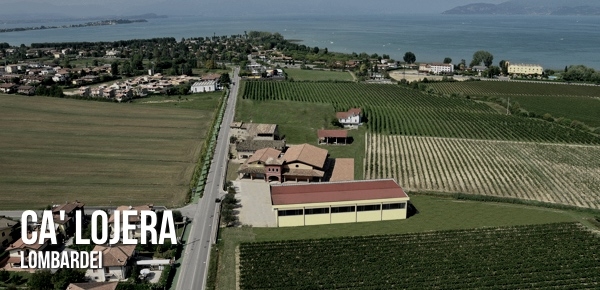 Ca Lojera Weine vom Gardasee Luftaufnahme der Kellerei Ca Lojera mit dem Gardasee im Hintergrund