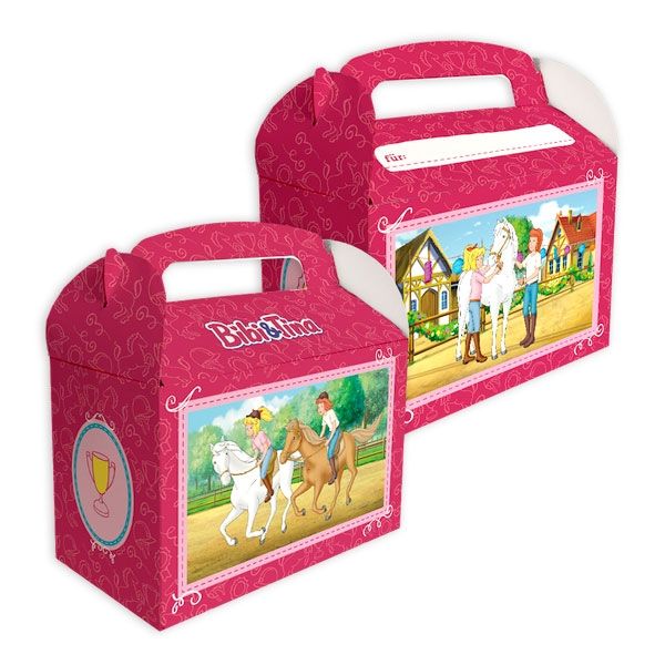 Bibi und Tina Geschenkboxen aus Pappe zum Zusammenstecken, 6 Stk