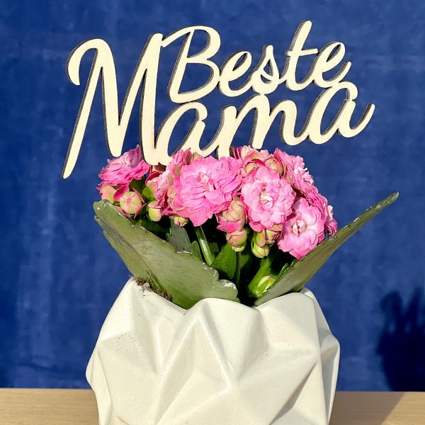 Beste Mama - Cacke Topper aus Holz für Blumentopf Geschenk Dekoration