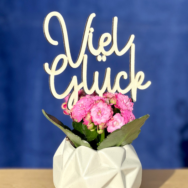 Viel Glück - Cacke Topper aus Holz für Blumentopf Geschenk Dekoration
