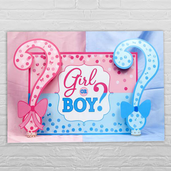 Girl or Boy? Wanddekoration zur Gender Reveal Party, 1,2m x 80cm