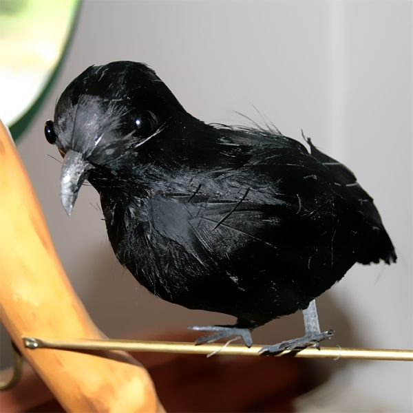 Schwarzer Rabe als Partydekoration oder Taubenschreck, 20 cm, 1 Stück