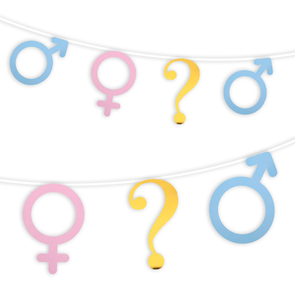 Girlande zur Gender Reveal Party, 5m