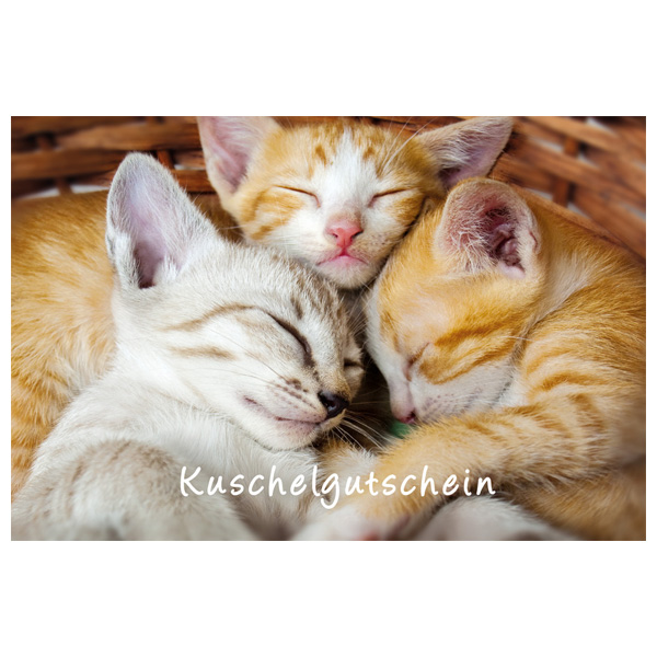 Postkarte "Kuschelgutschein" mit Katzenmotiv