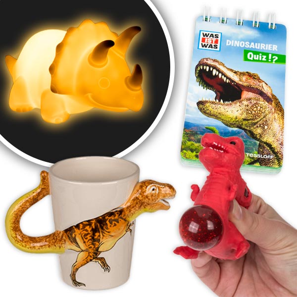 Geschenkset, Dinosaurier, 4-tlg.