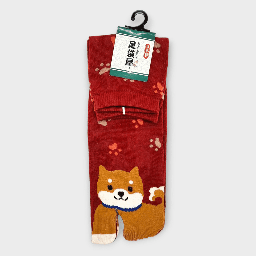 Linke braune Tabi Socke mit Shiba Inu in rot