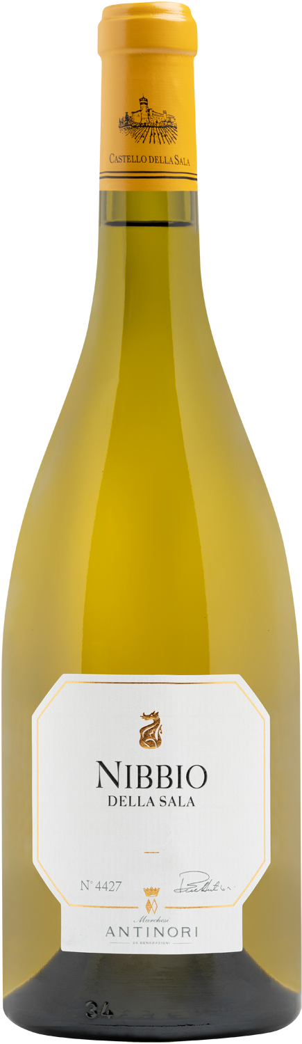 Castello della Sala Nibbio della Sala 2020