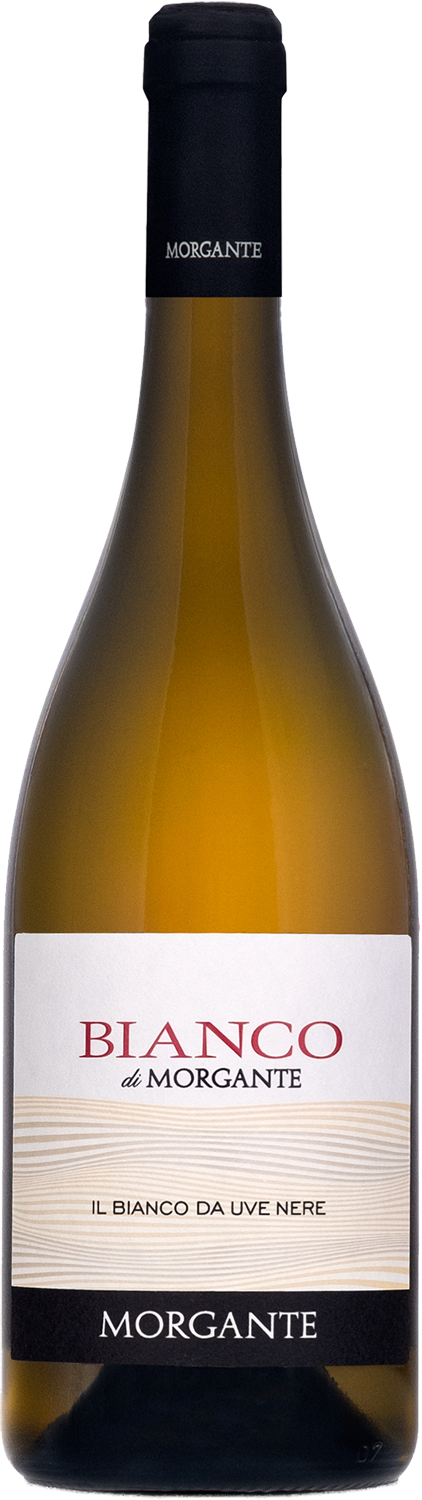 Morgante Bianco di Morgante 2022