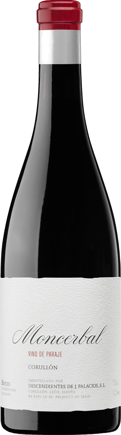 Descendientes de Jose Palacios Moncerbal 2022