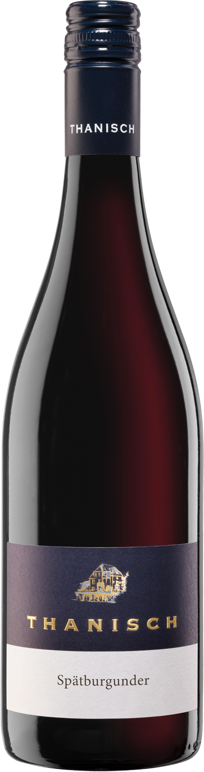 Thanisch Spätburgunder trocken 2024