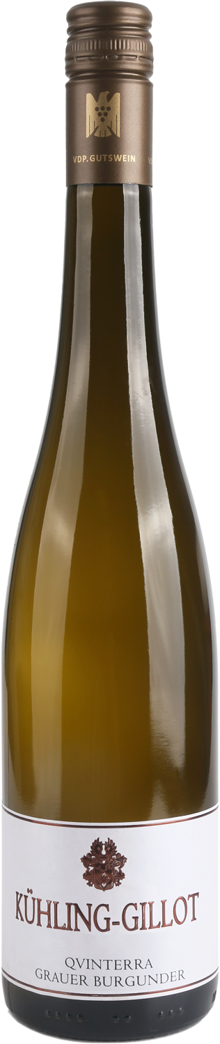 Kühling Gillot Grauer Burgunder Qvinterra trocken 2024