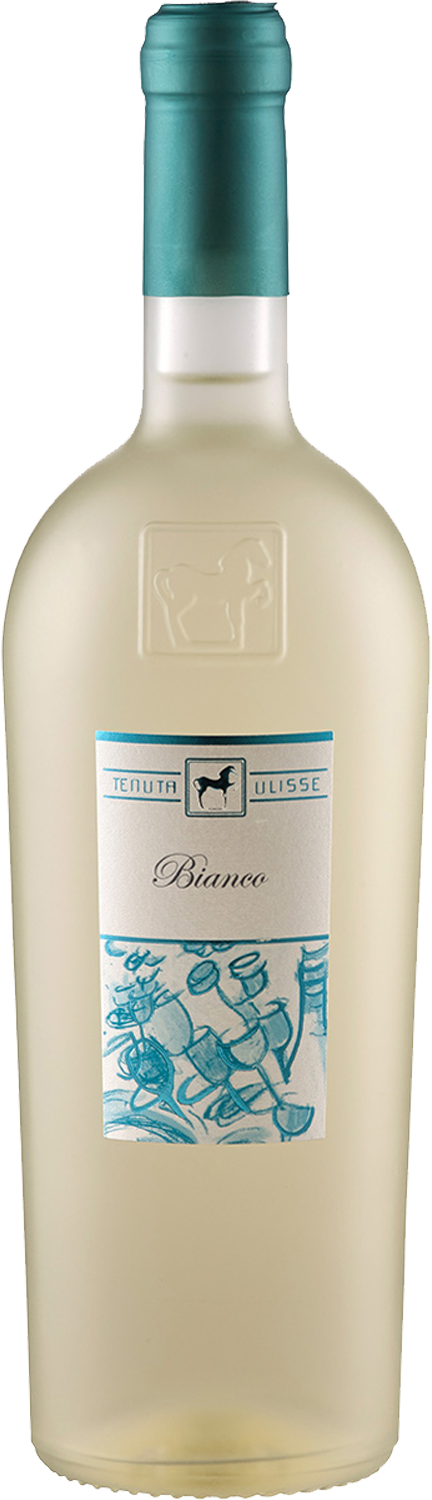 Tenuta Ulisse Bianco Premium 2024