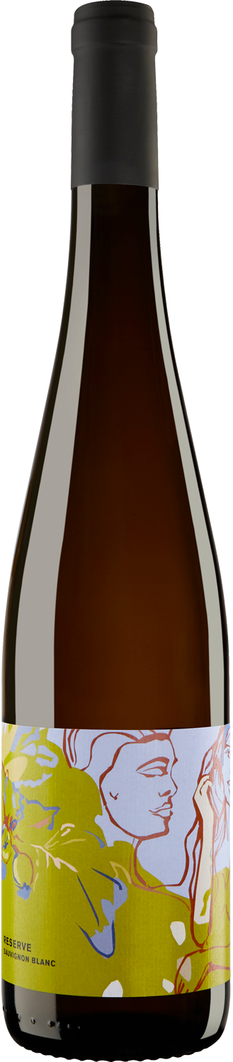 Hofmann Sauvignon Blanc Reserve trocken 2024