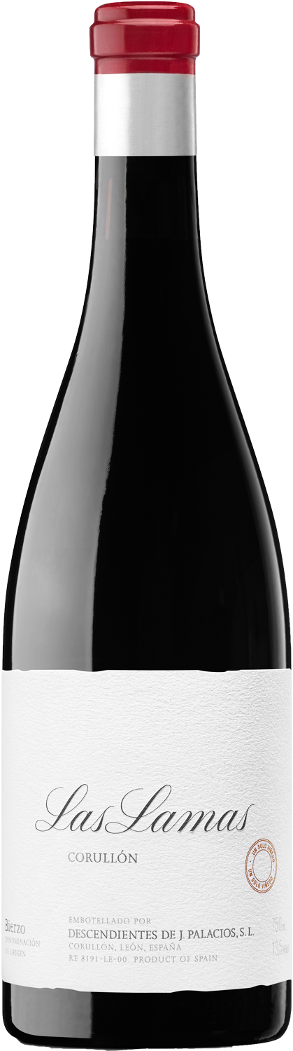 Descendientes de Jose Palacios Las Lamas 2022