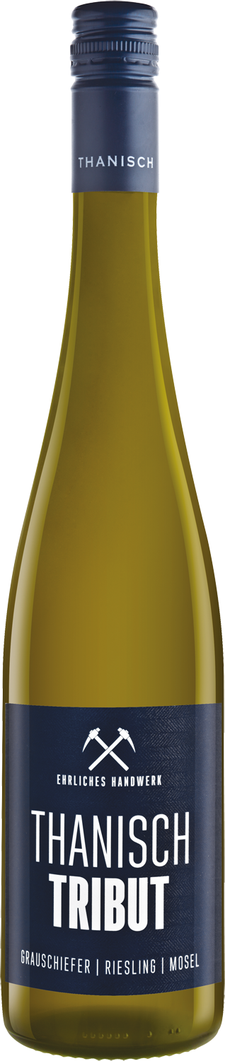 Thanisch Riesling Tribut Grauschiefer trocken 2024
