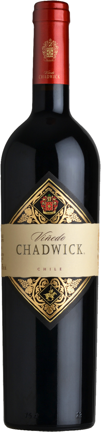 Vinedo Chadwick 2019