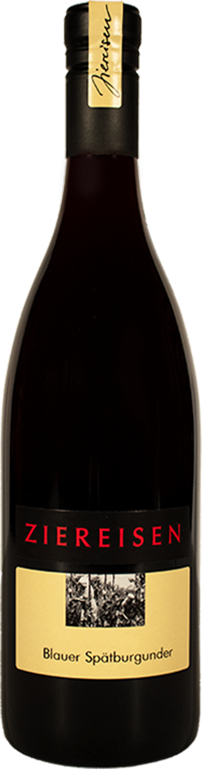 Ziereisen Blauer Spätburgunder 2022