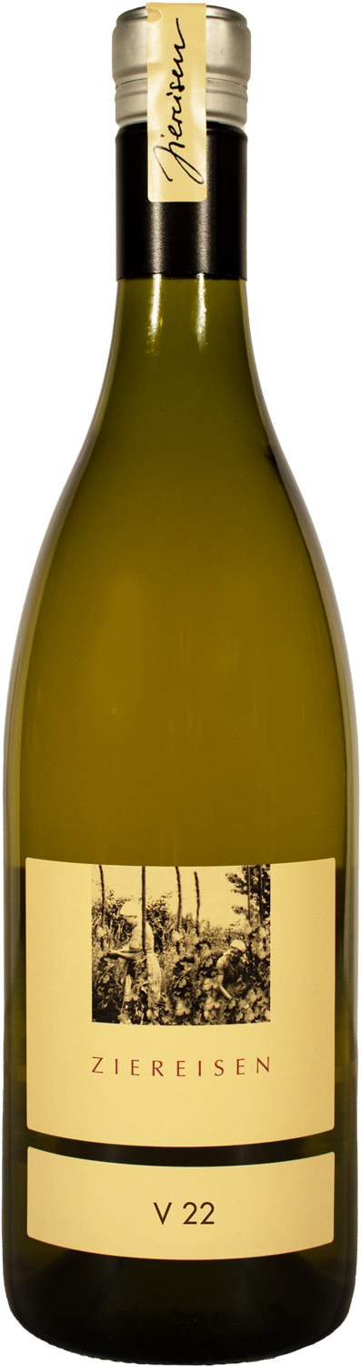Ziereisen Gutedel V Viviser 2022