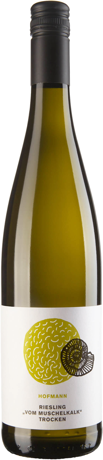 Hofmann Riesling vom Muschelkalk trocken 2022
