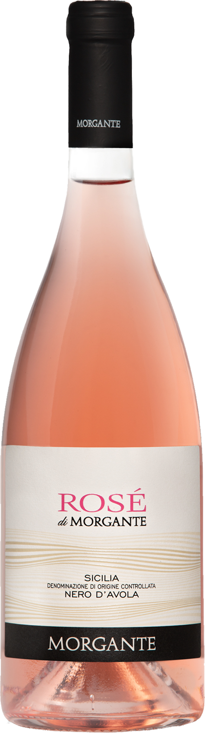 Morgante Rose di Morgante 2024