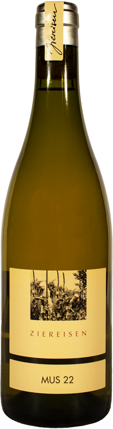 Ziereisen Grauer Burgunder MUS Musbrugger 2022