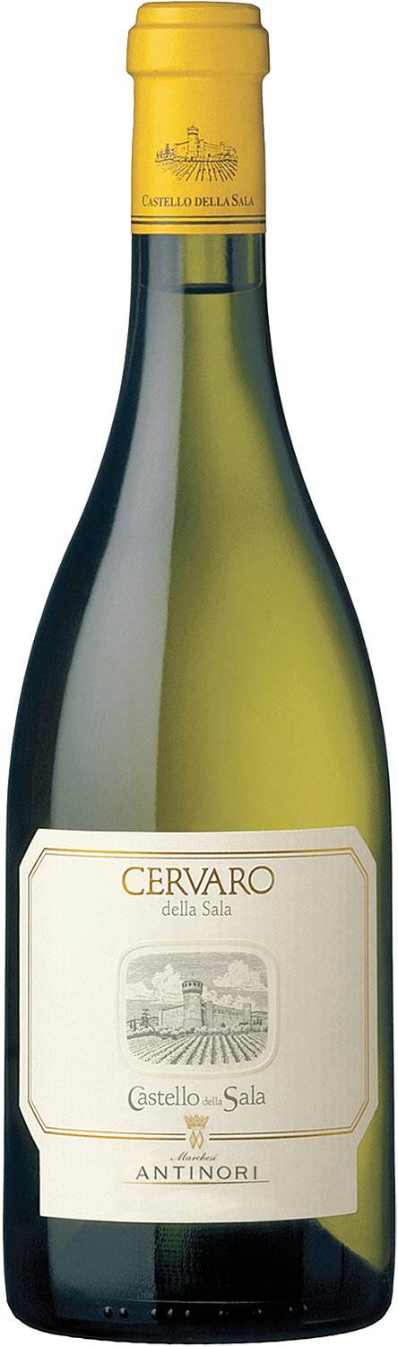 Castello della Sala Cervaro della Sala 2023