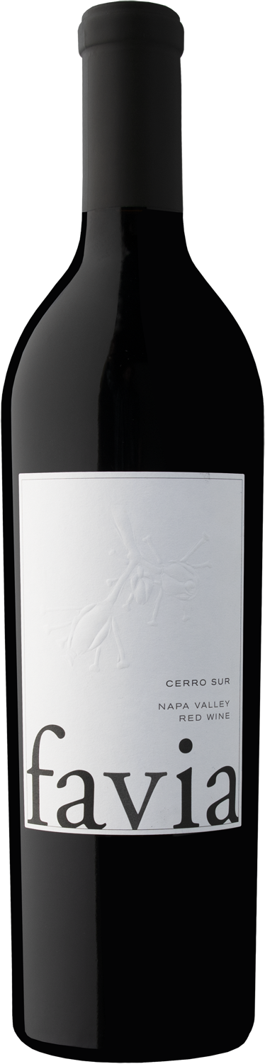 Favia Cerro Sur 2021