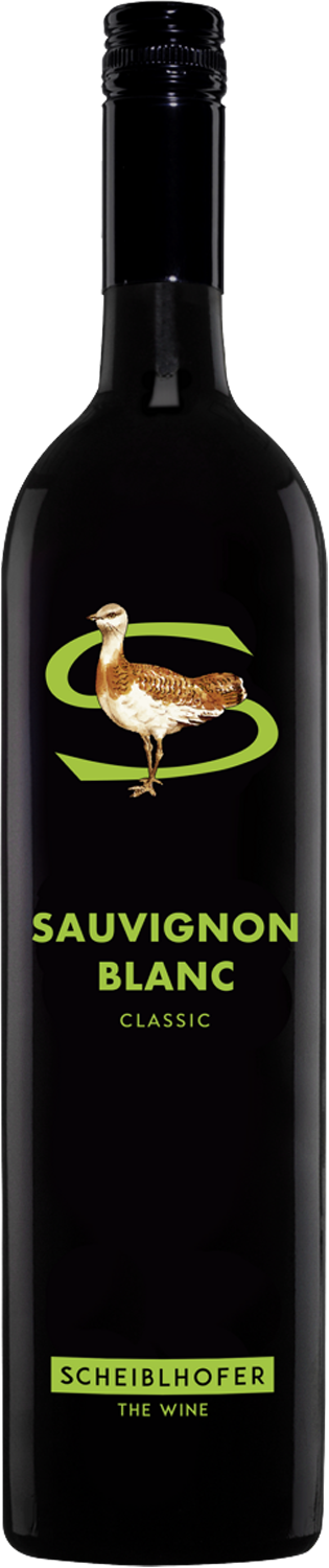 Scheiblhofer Sauvignon Blanc Classic 2025
