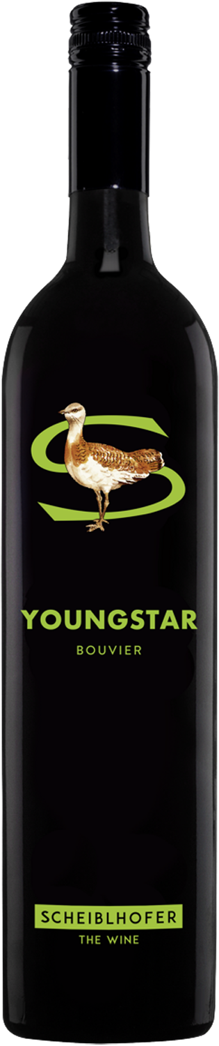 Scheiblhofer Youngstar 2025