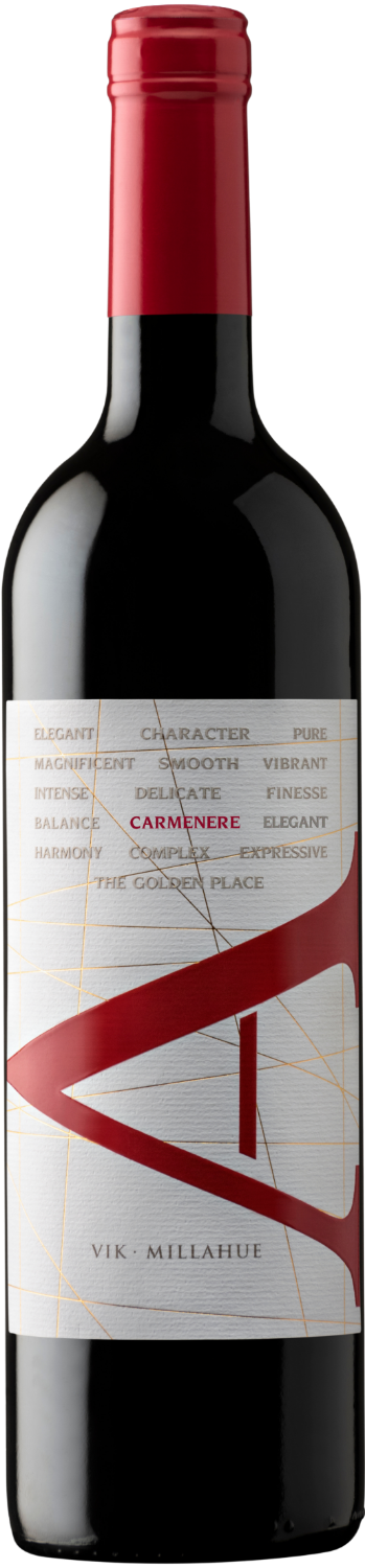 Vik A Carmenere 2022