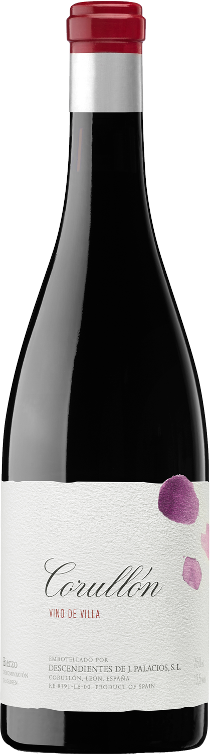 Descendientes de Jose Palacios Villa de Corullon 2022