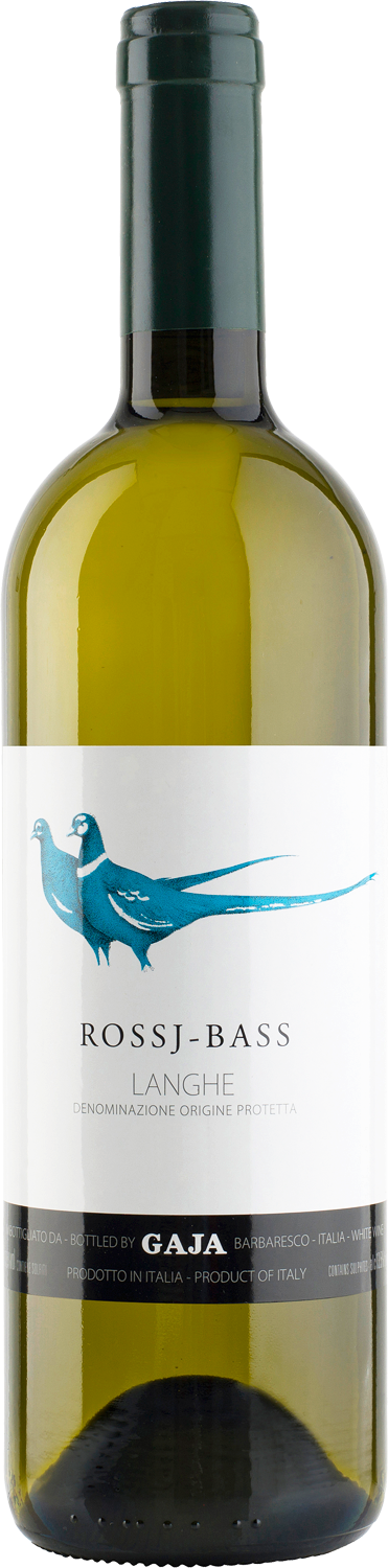 Gaja Rossj-Bass 2023