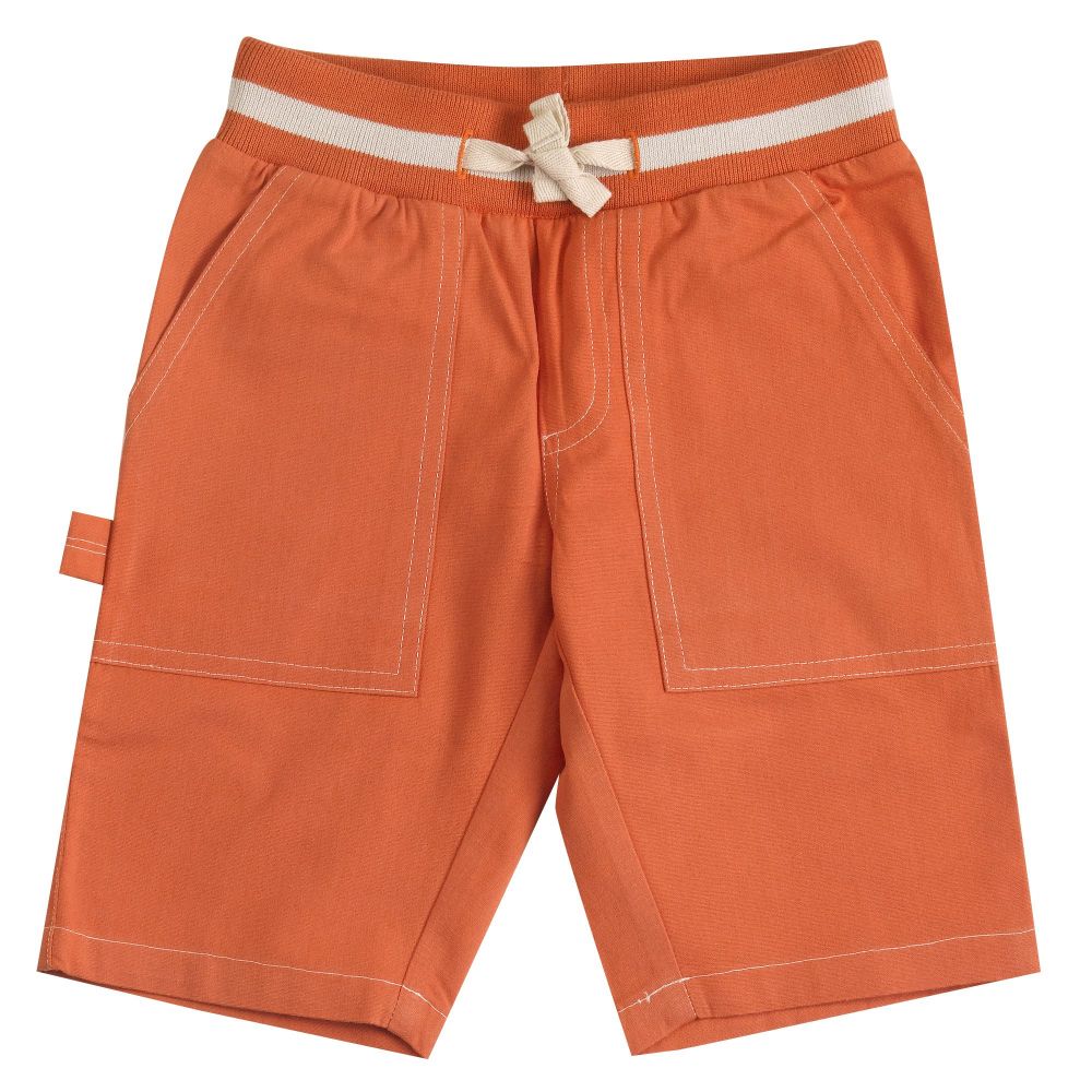 Painter Shorts orange