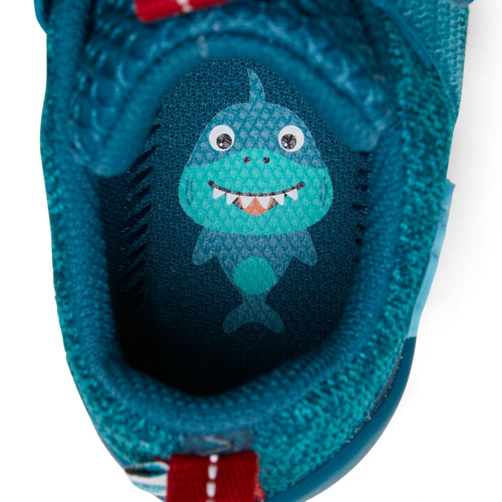 Sneaker Knit Shark