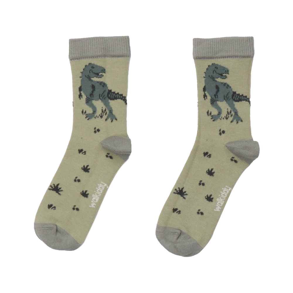 Socken 2er-Pack Dinosaurland