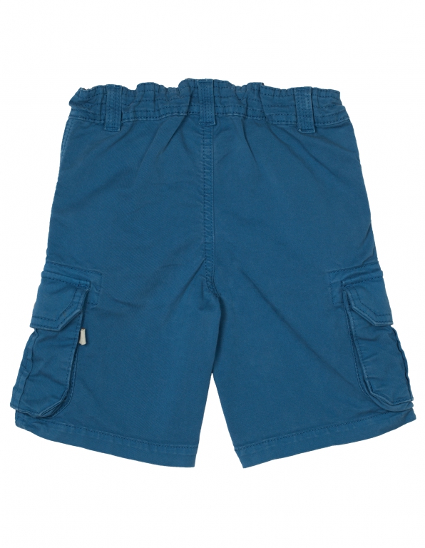 Explorer Shorts tinte
