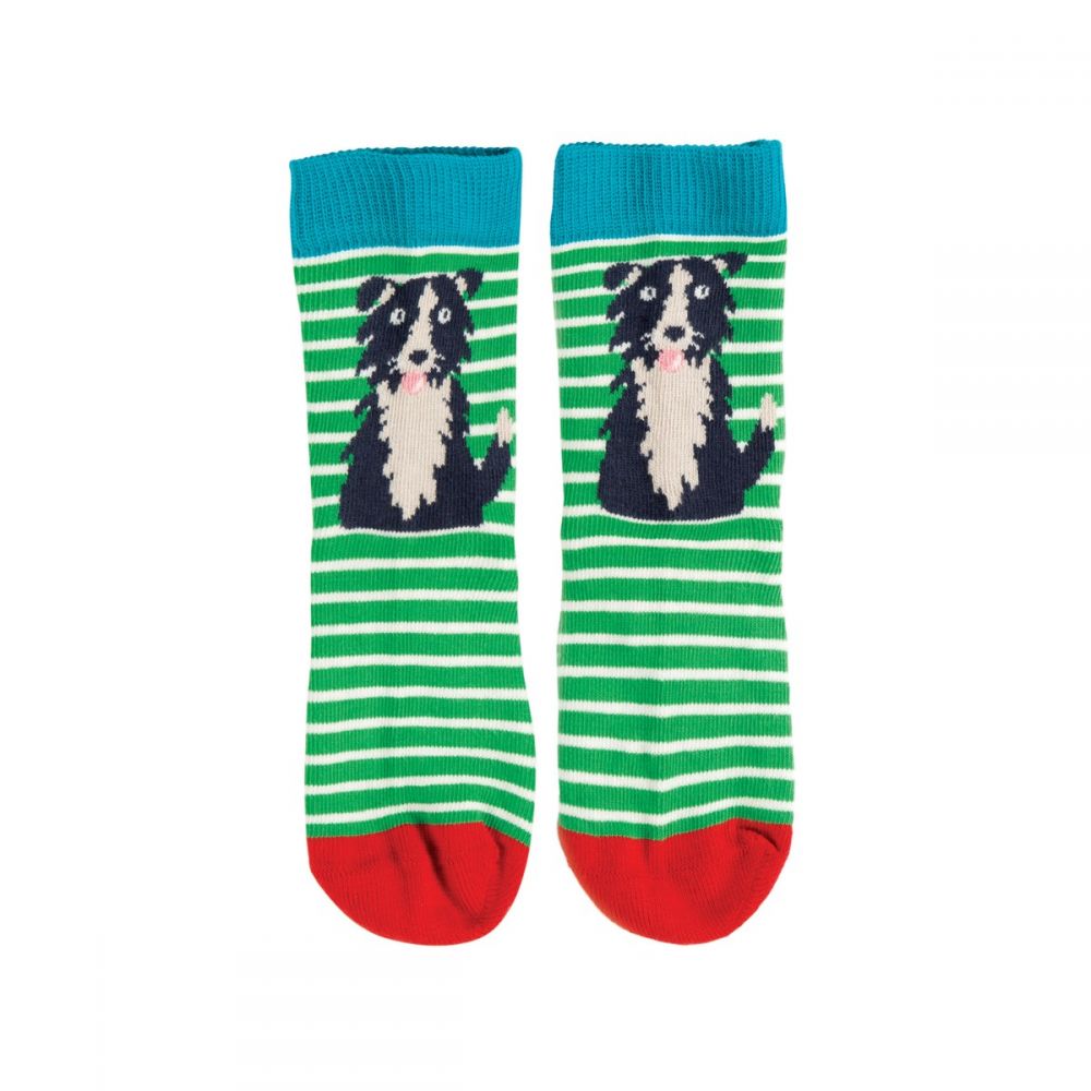 Frugi Rock My Socks Schottisches Hochlandrind 3erPack bunt