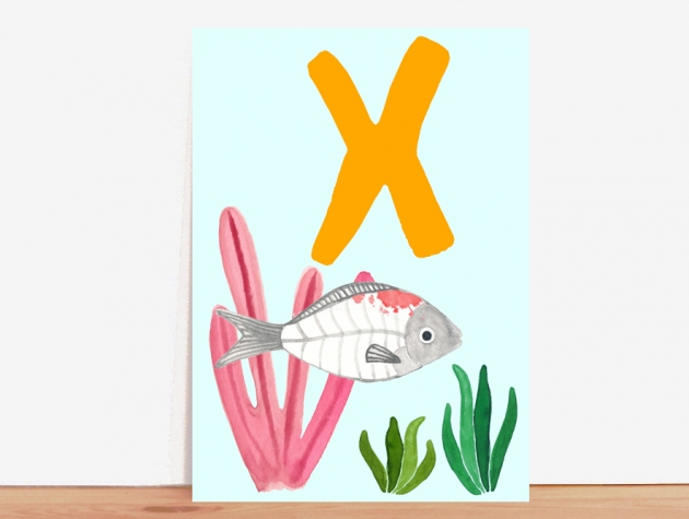 ABC-Karte X wie X-Ray Fish