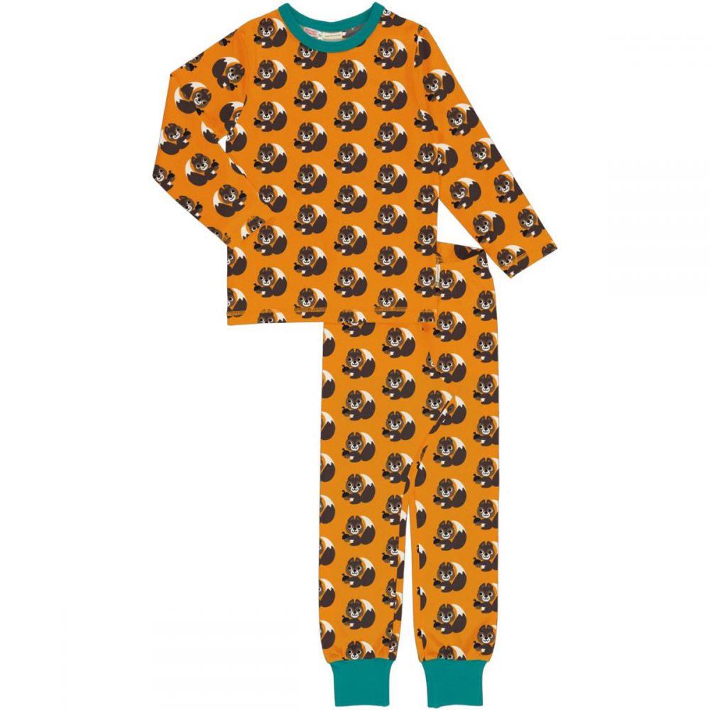 Pyjama Squirrel
