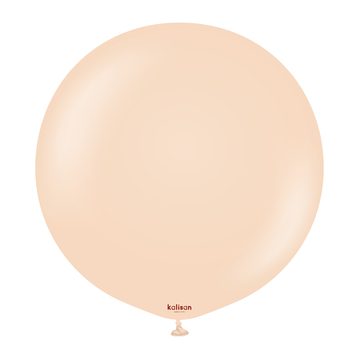 24" Standard Blush (2 Stück)