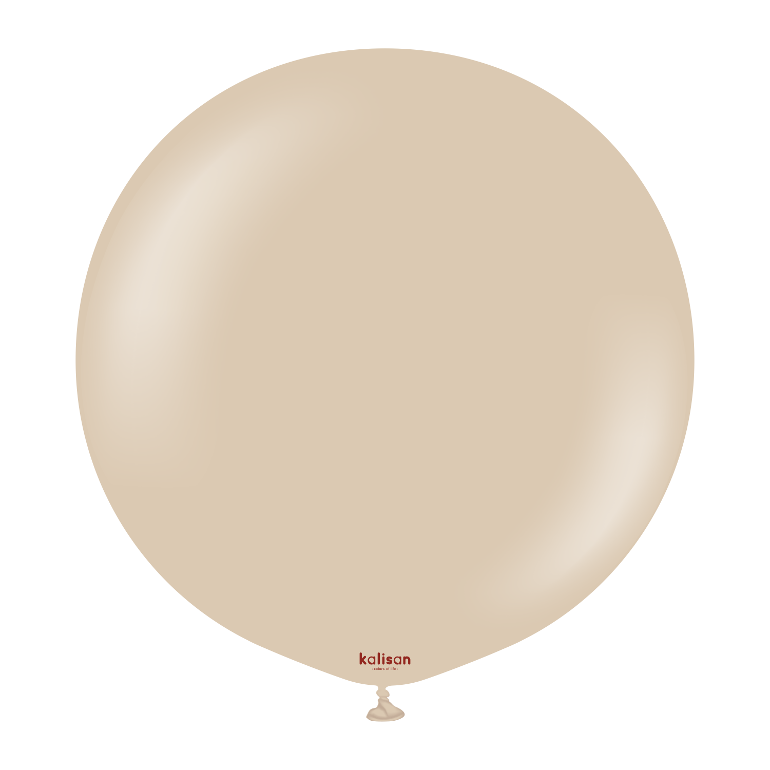 24" Standard Hazelnut (2 Stk.)