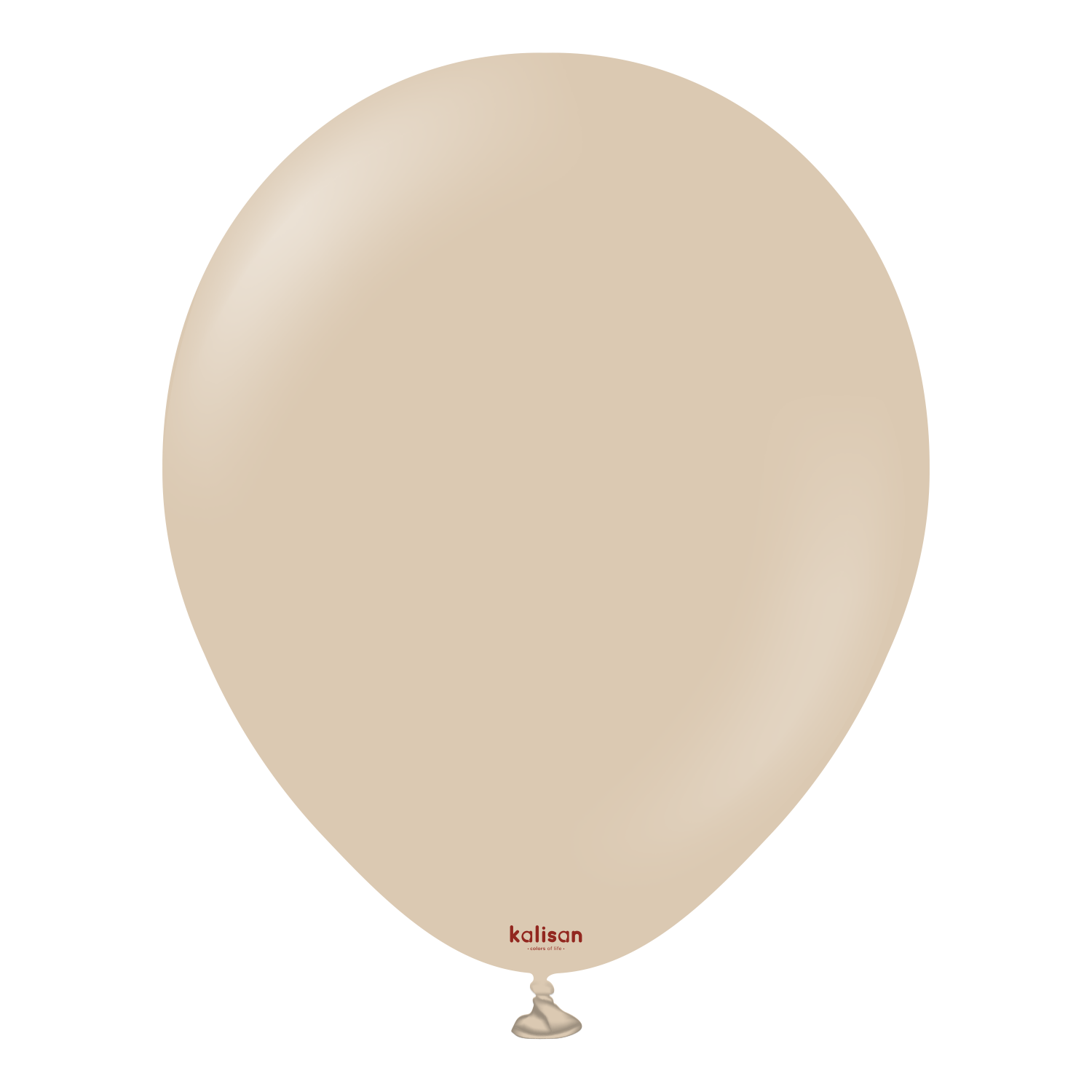 18" Standard Hazelnut (25 Stk.)