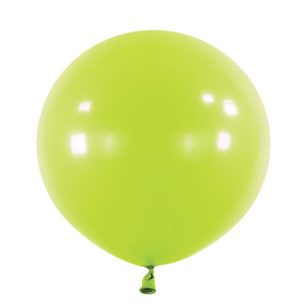 24" Fashion Kiwi (4 Stück)