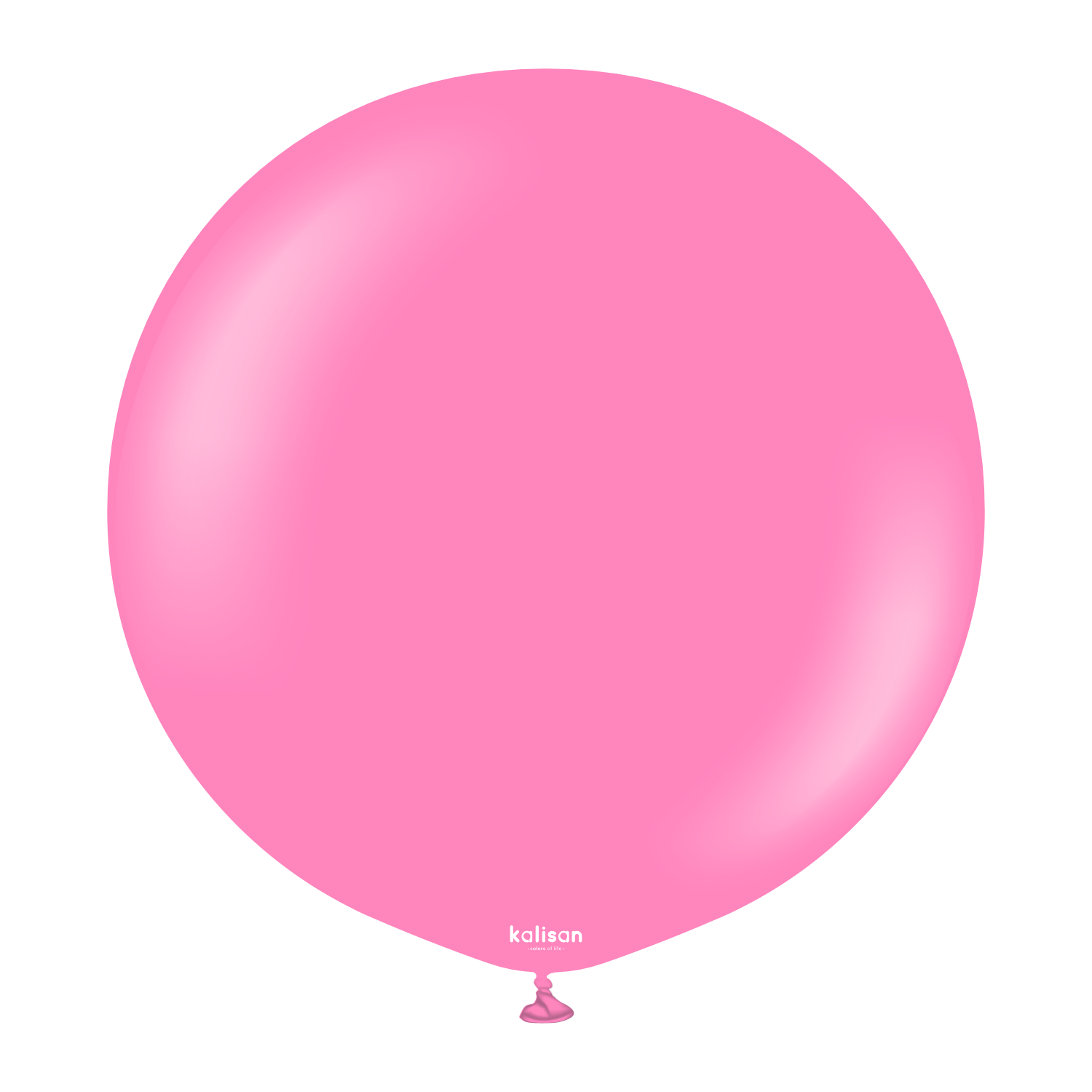 24" Standard Queen Pink (2 Stück)