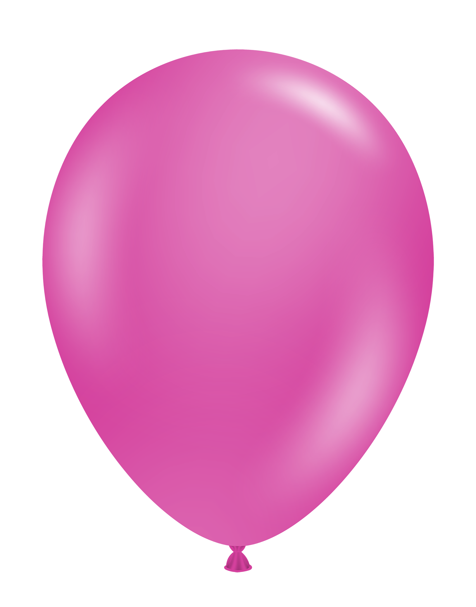 11" Pixie (100 Stück)