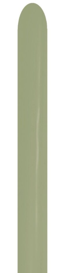 260er Modellierer Eucalyptus (50 Stück)