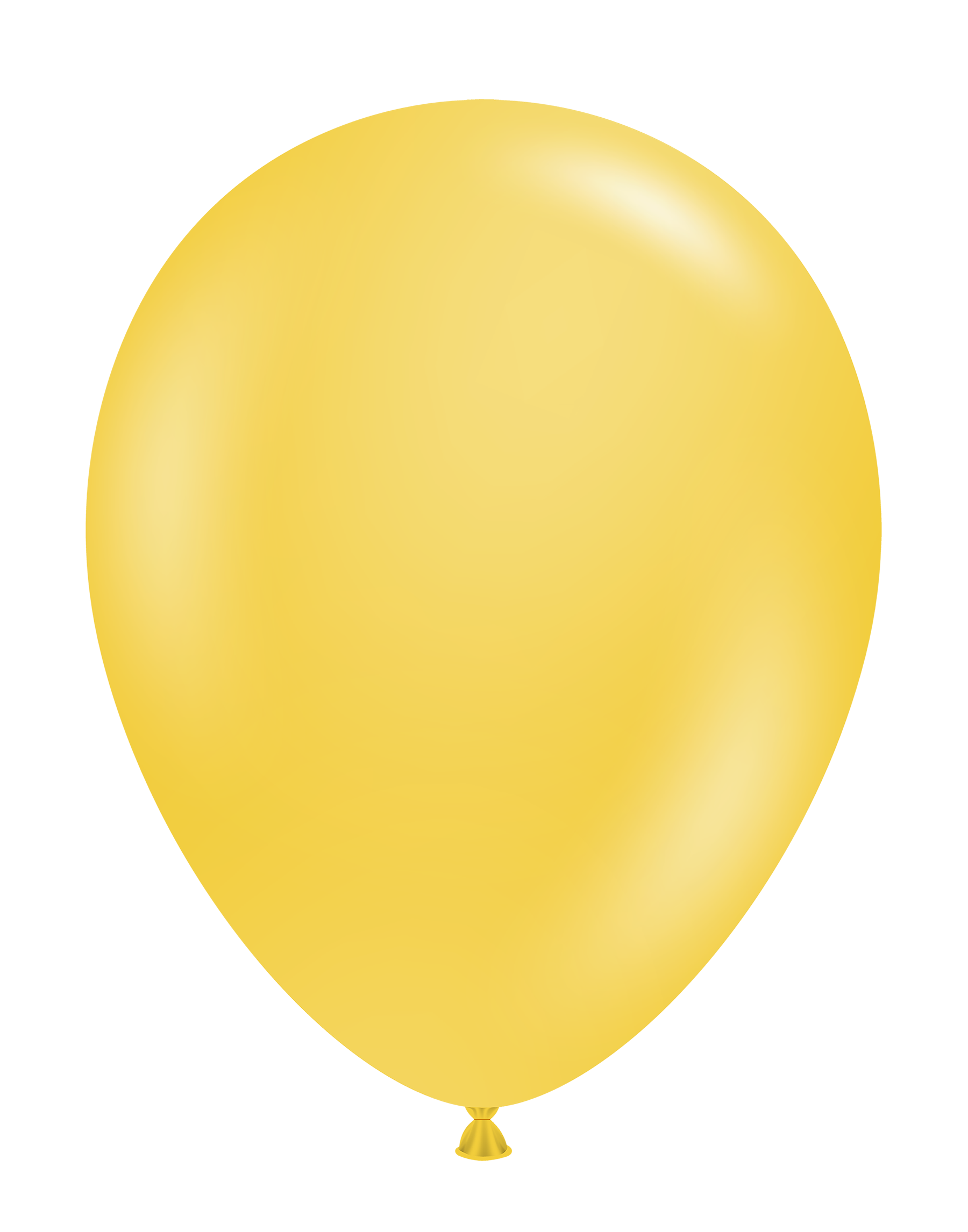 5" Goldenrod (50 Stück)