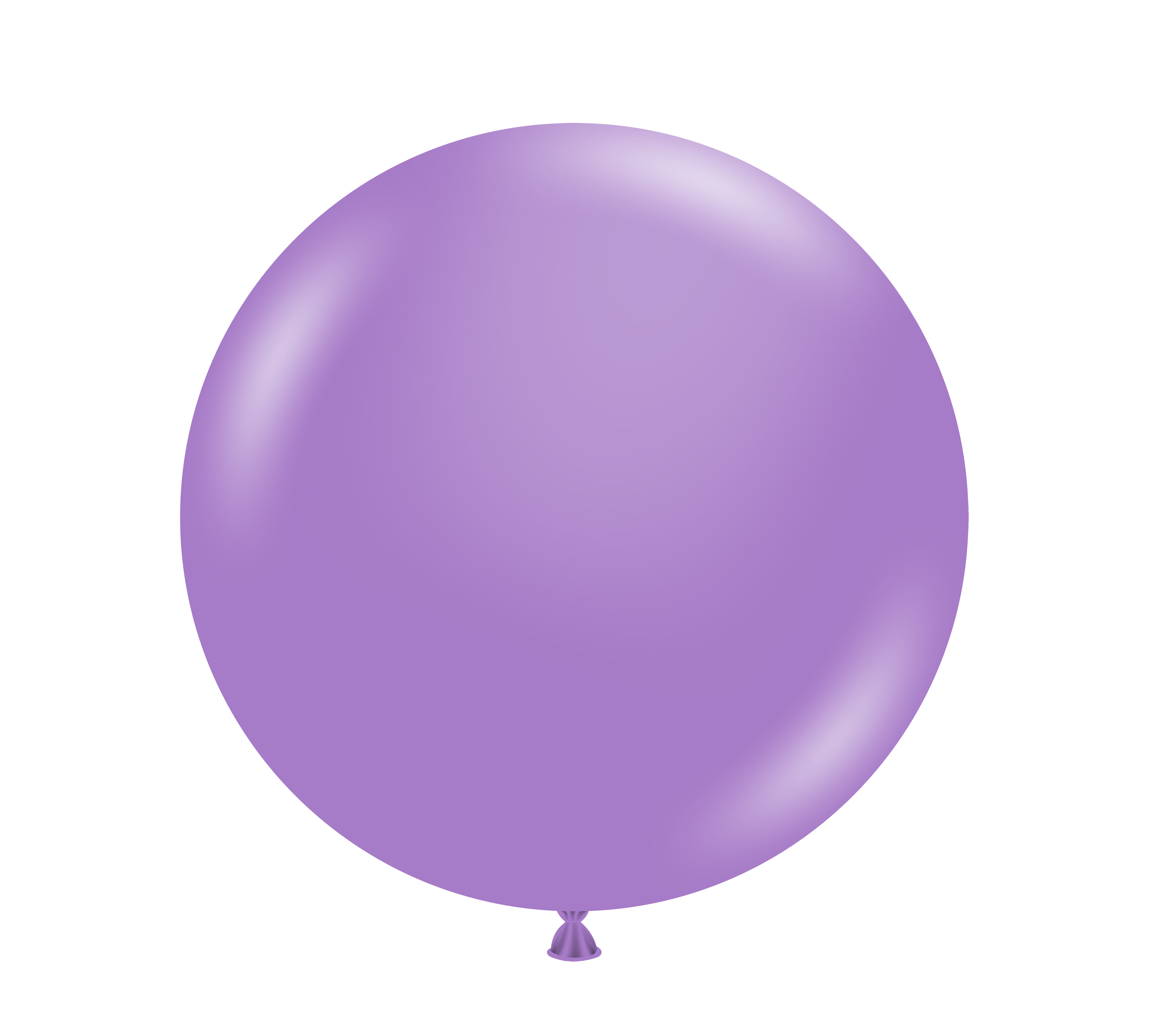 24" Lavender (3 Stück)