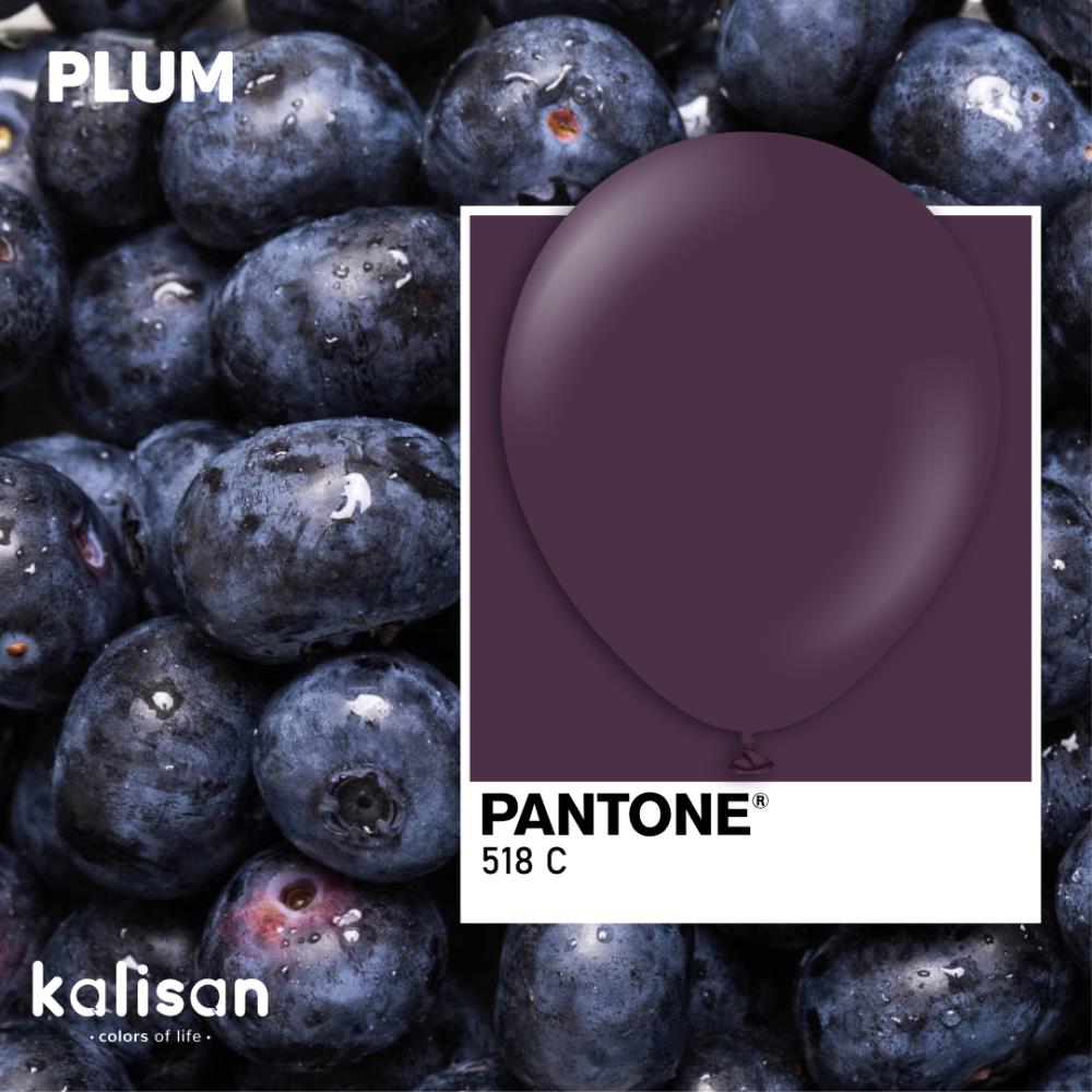 12" Standard Plum (100 Stk.) 12" Standard Plum (100 Stk.)